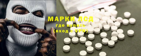 сатива Белокуриха