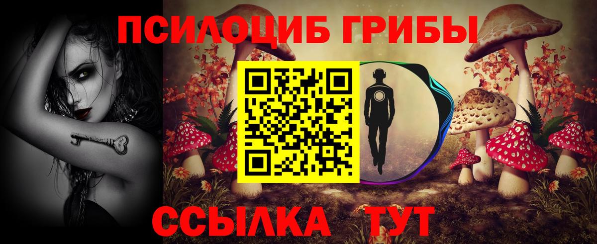 дарнет шоп  Вход с VPN  Галлюциногенные грибы MAGIC MUSHROOMS  Гудермес  Псилоцибиновые грибы прущие грибы 
